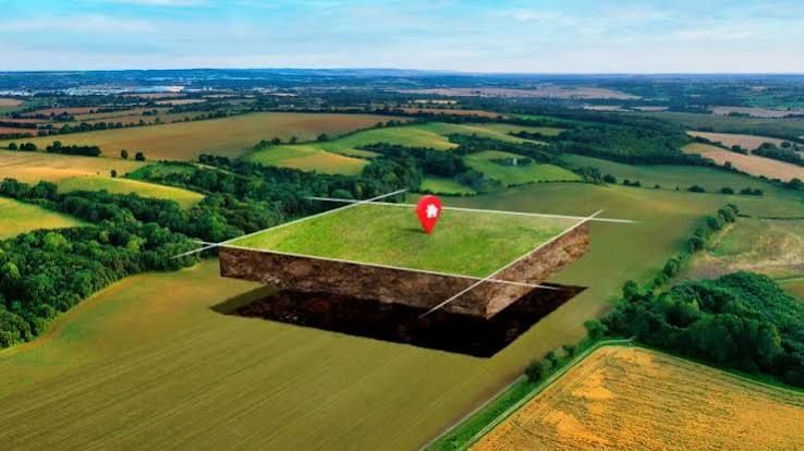 Quarter Acre Plot